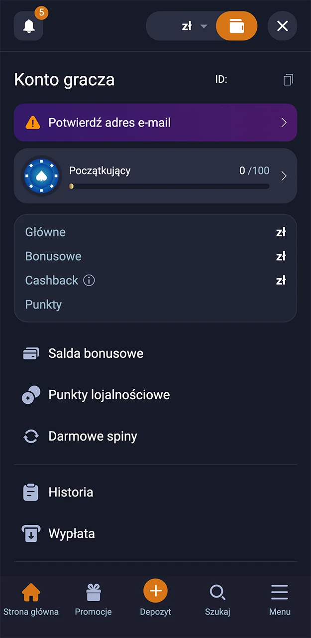 Po zalogowaniu się na konto w VOX Casino zapoznaj się z jego funkcjami.