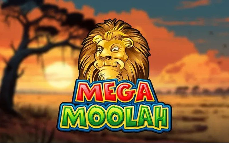 Wypróbuj różne stawki i strategie w automacie Mega Moolah w VOX Casino.