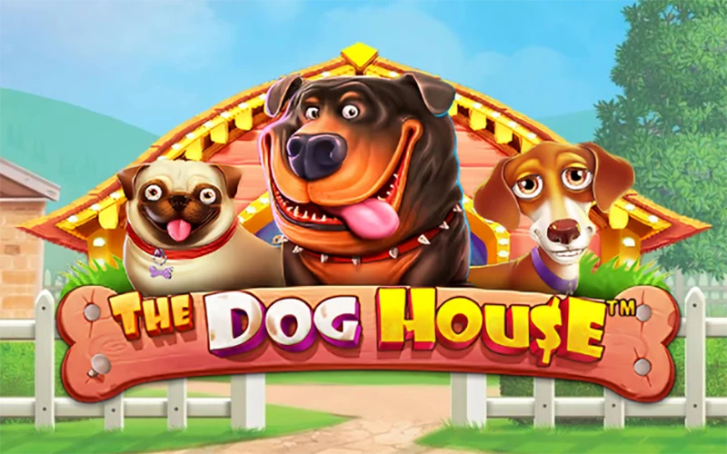 Każdy zakład w grze The Dog House od VOX Casino może przynieść dużą wygraną.