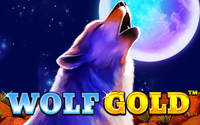 Wygraj rundy bonusowe i dodatkowe nagrody w grze slotowej Wolf Gold w VOX Casino.